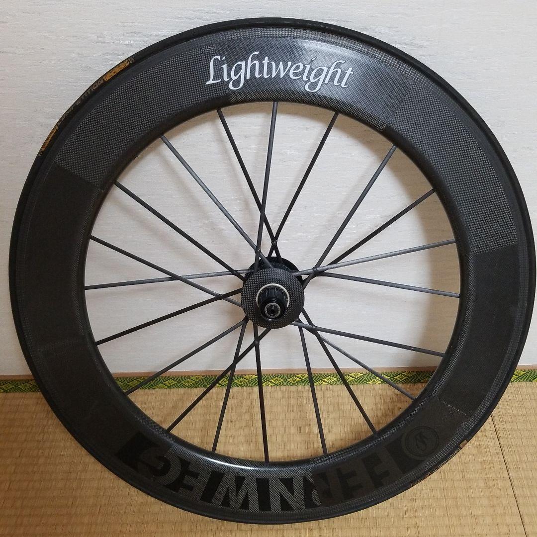 ライトウェイト フェーンウィグ Fernweg リアのみ