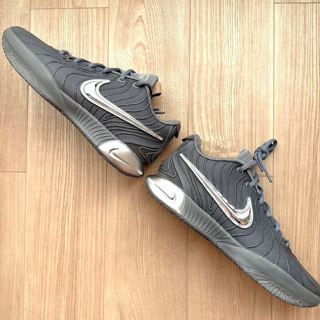 Nike LeBron XXI EP クールグレー 29cm / 美品 実戦向き