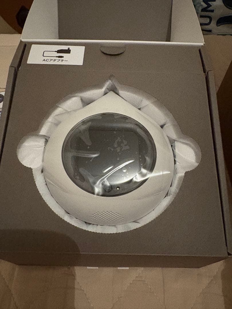 Romi Lacatanモデル