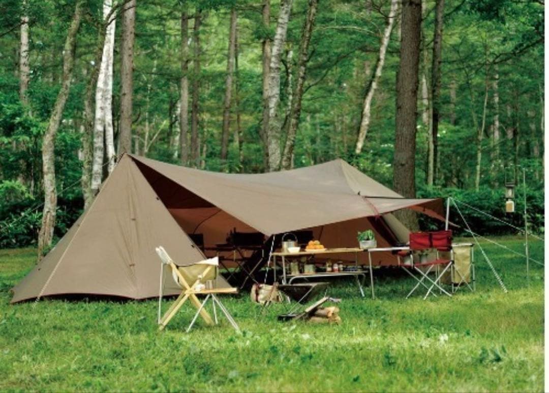 最安値【新品未使用】 peak TP-820 ランドステーションL