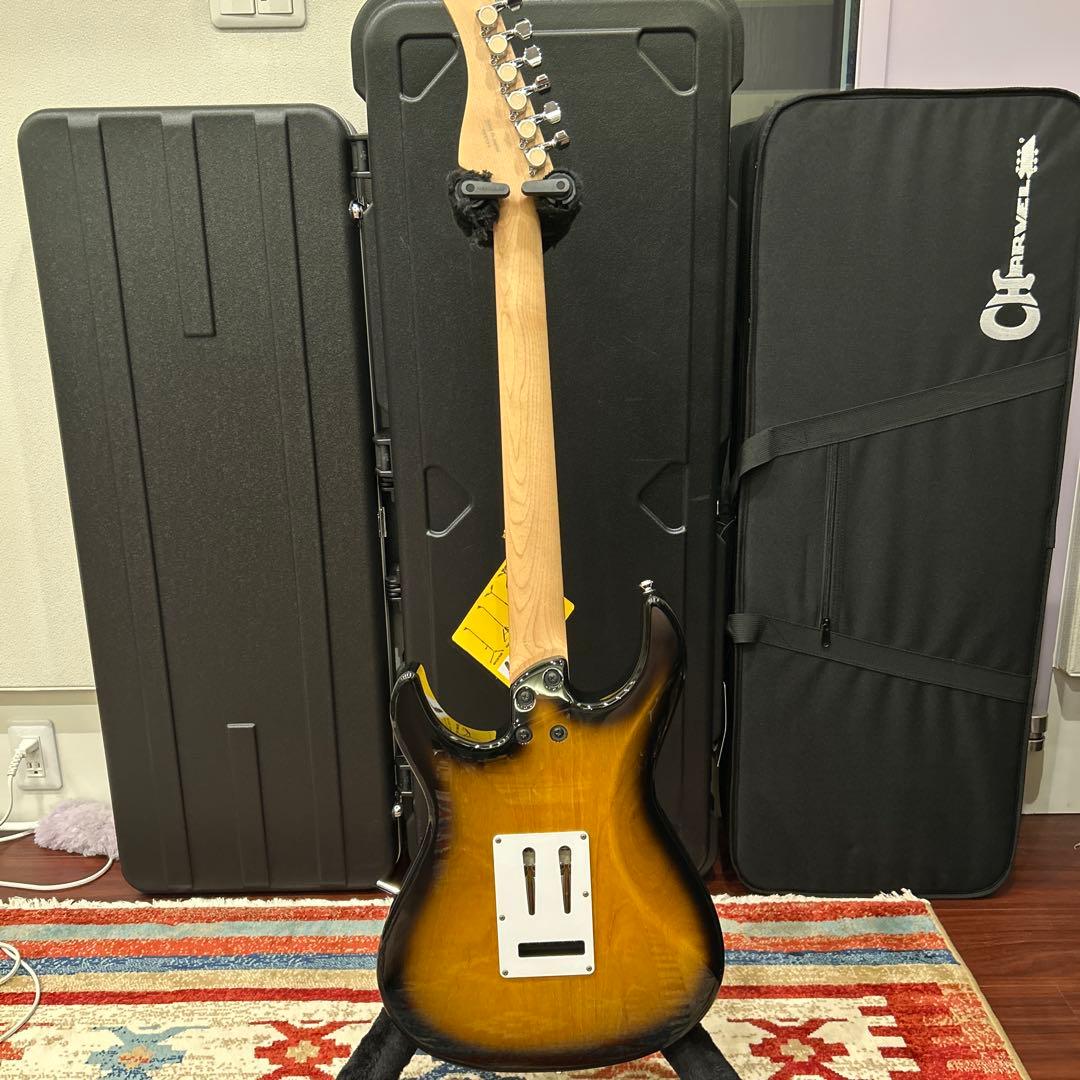 ギター FERNANDES RT-ELT 2SB