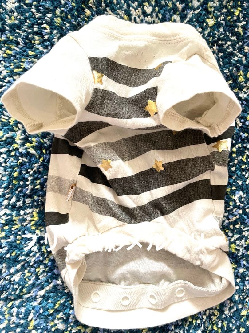 アズノゥアズデワン犬服 ペアとママ服おそろストライプ &スター★セットで出品