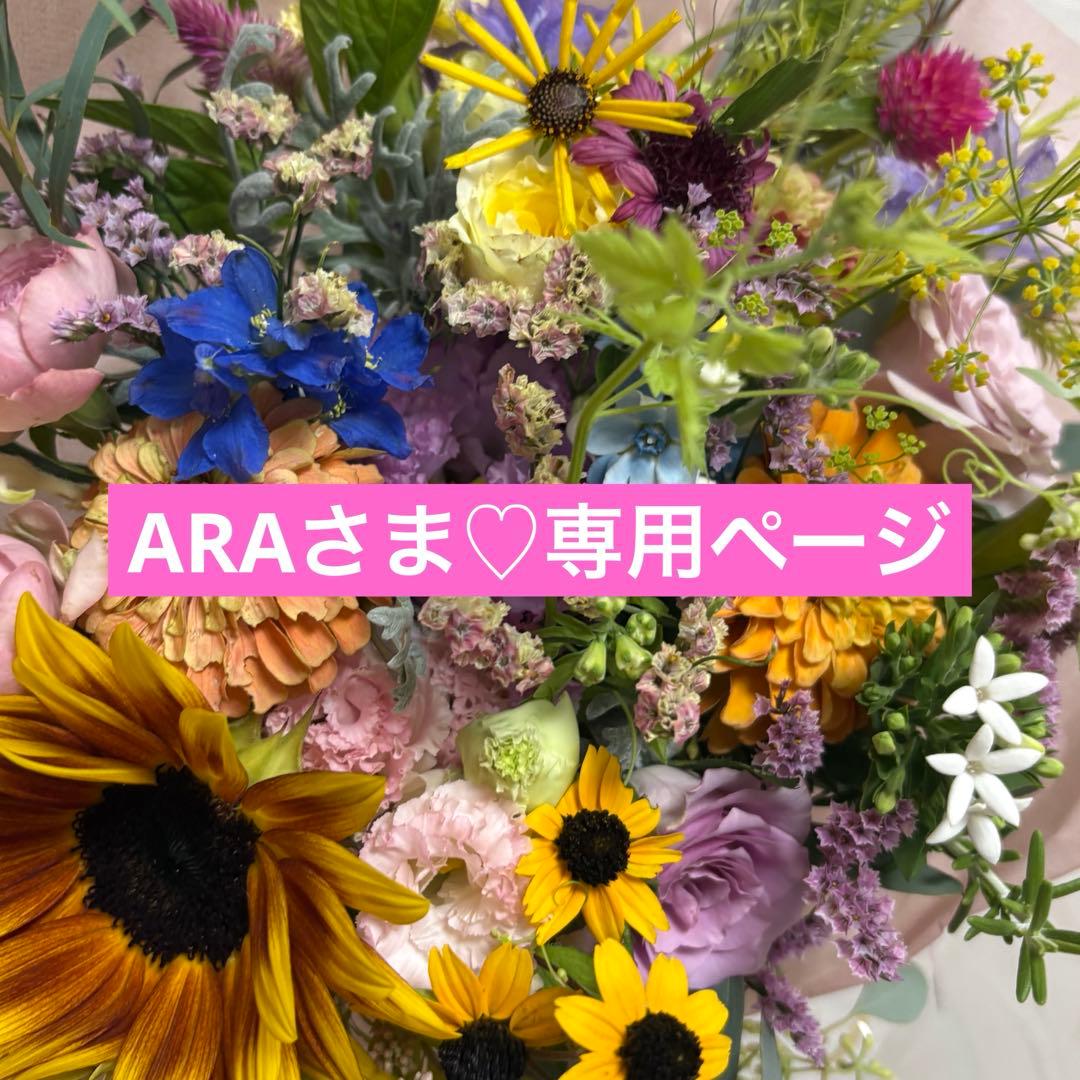 ARAさま♡専用ページ