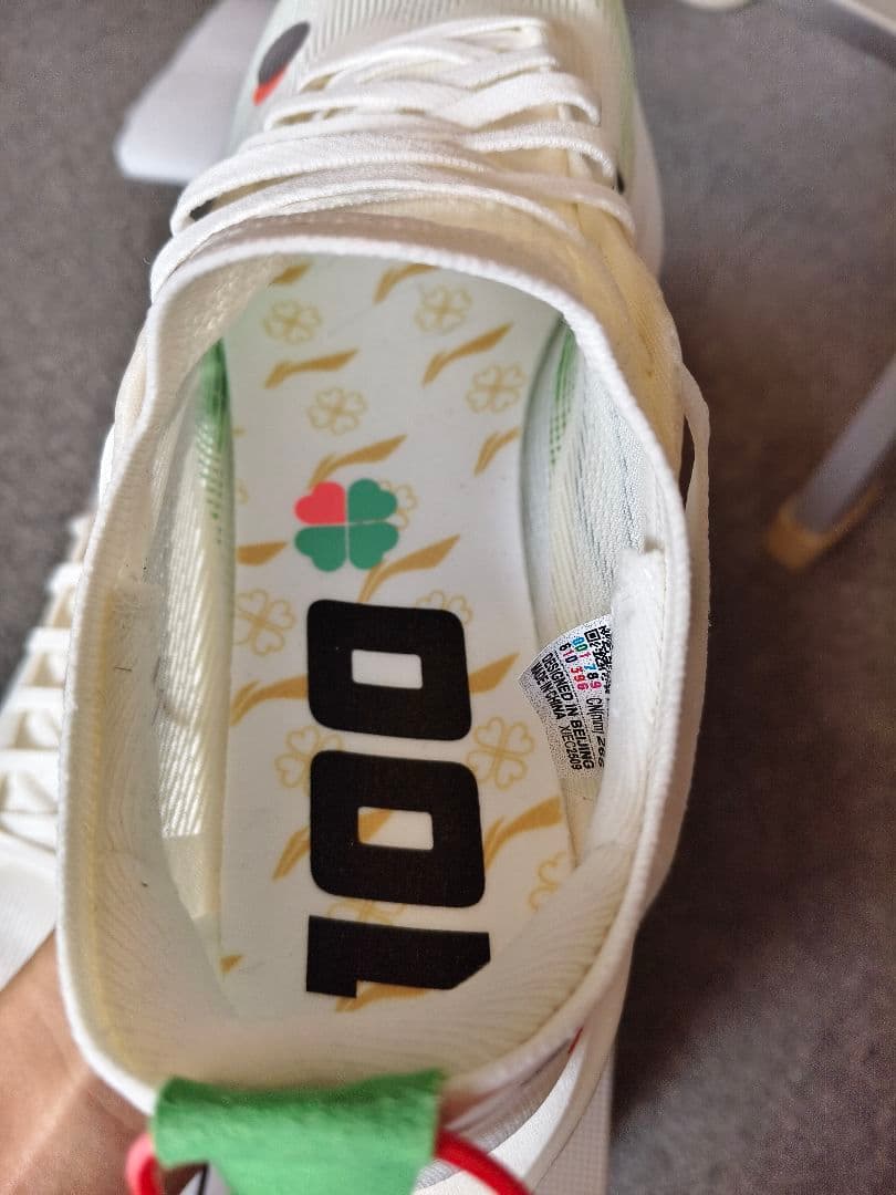 LI-NING FEIDIAN 5 ELITE 新品 265mm