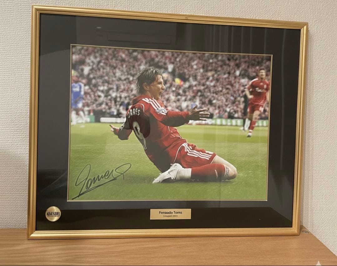 フェルナンド・トーレス サイン 額縁