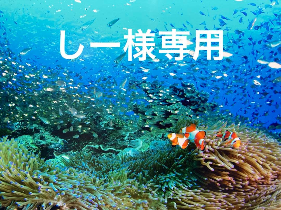 エンビロンSモイスチャーライザーモイスチャージェル2クリーム4