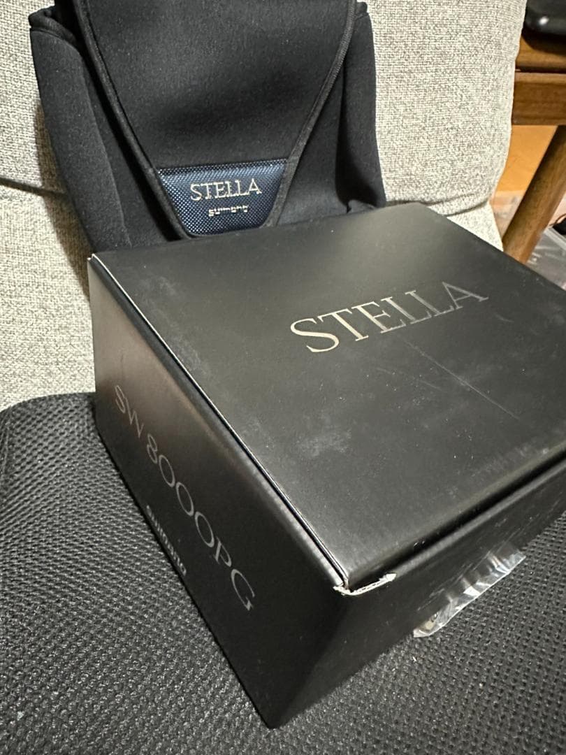 19 STELLA SW 8000PGスピニングリール