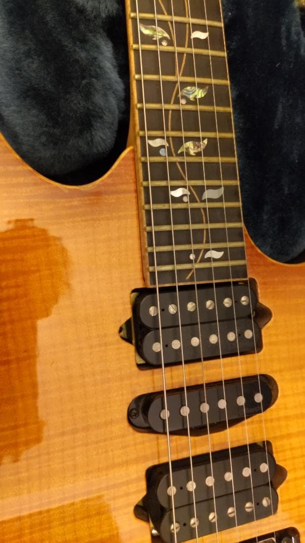 Ann　Ibanez RG8670 VV J-CUSTOM