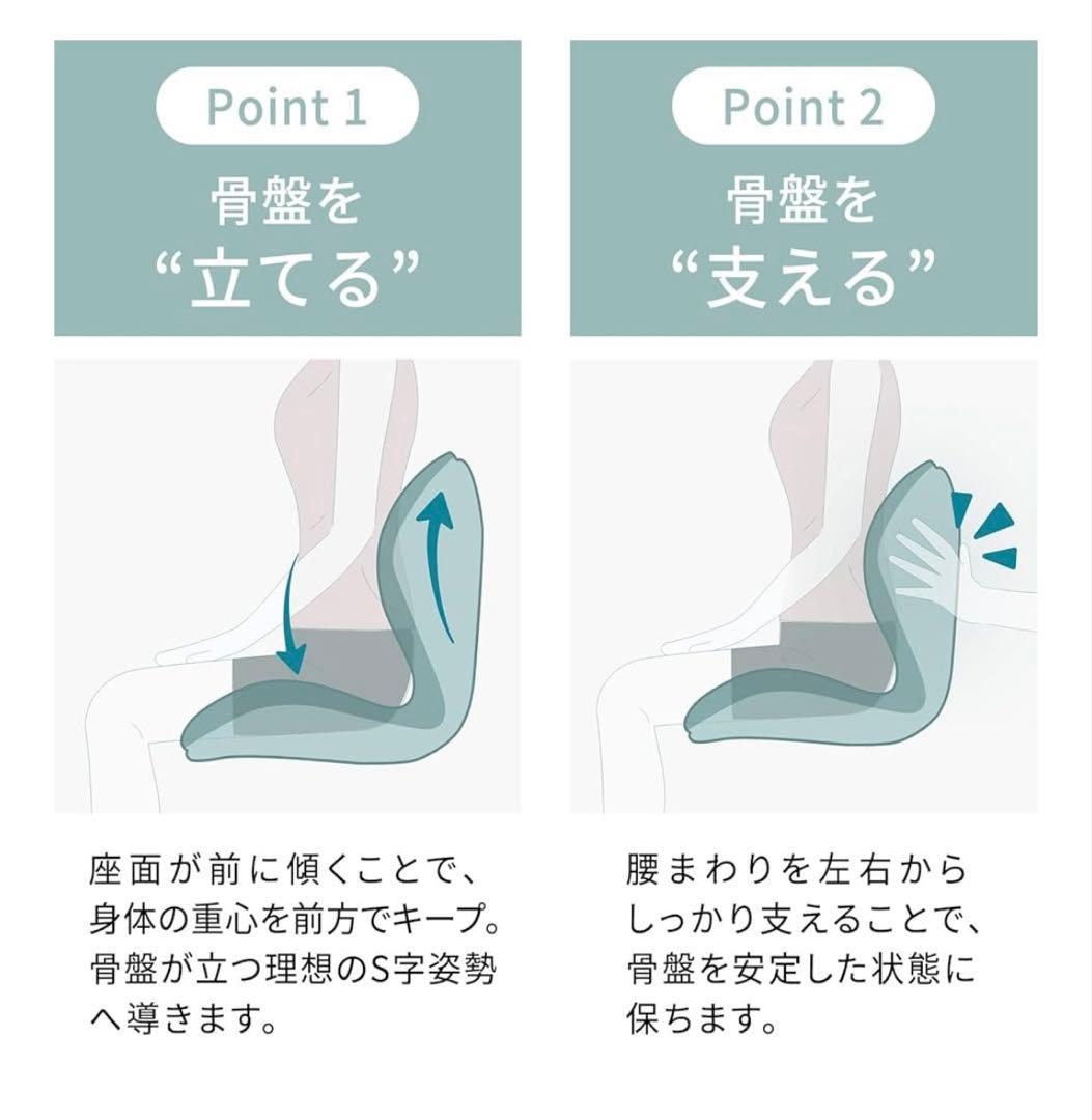 MTG エムティージー 骨盤サポート座椅子 Style PREMIUM DX 黒