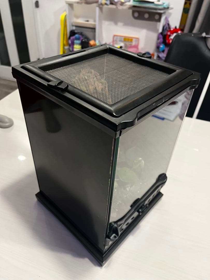 パルダリウム　現品　グラステラリウムナノ新品