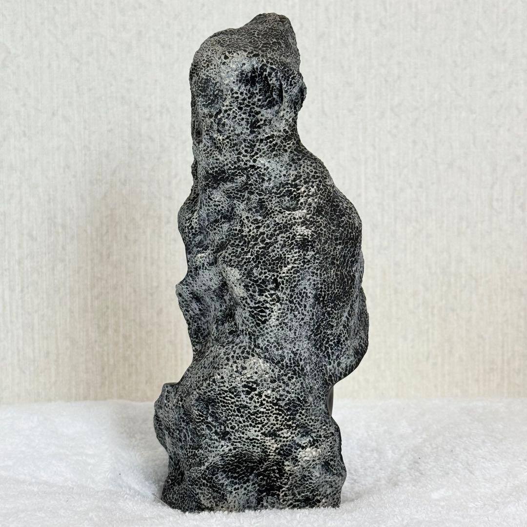 【Myday公式アカウント01】フランクシャーマン　黒珊瑚　ブラックコーラル