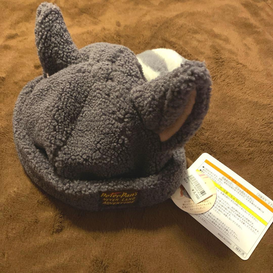 ディズニー　ピーターパン　ロストキッズ　ファンキャップ　コンプリートセット
